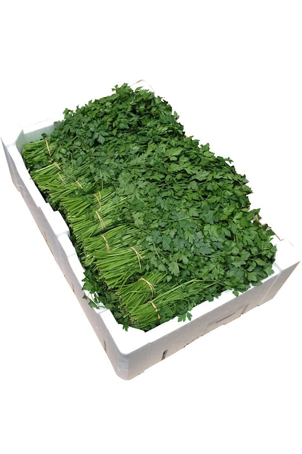 Петрушка свежая