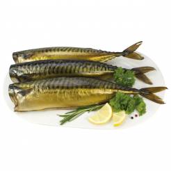 <span style="color:#c60000;font-weight:bold;">Theke (BT)</span>